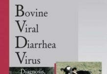 Bovine Viral Diarrhea Virus: Diagnosis, Management, and Control By Sagar M. Goyal, Julia F. Ridpath