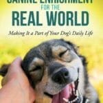 Canine Enrichment for the Real World: Making It a Part of Your Dog’s Daily Life