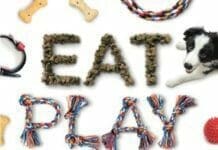 Eat, Play, Love (Your Dog): The Ultimate Guide for Every Dog Owner PDF