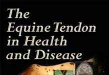 Equine Tendon in Health and Disease