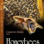 Honeybees, Foraging Behavior, Reproductive Biology and Diseases PDF