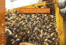 Honeybees, Foraging Behavior, Reproductive Biology and Diseases PDF