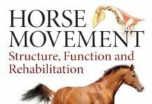 Horse Movement: Structure, Function and Rehabilitation pdf