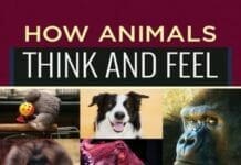 How Animals Think and Feel: An Introduction to Non-Human Psychology PDF