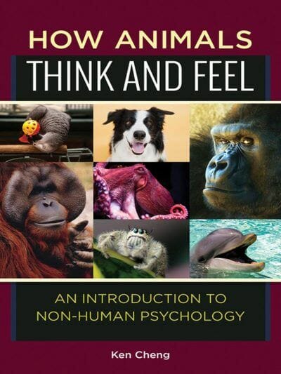 How Animals Think and Feel: An Introduction to Non-Human Psychology PDF