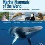 Marine-Mammals-of-the-World-A-Comprehensive-Guide-to-Their-Identification-2nd-Edition