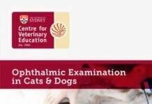 Ophthalmic Examination in Cats and Dogs Videos