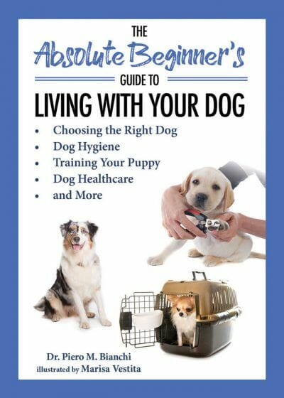 The Absolute Beginner’s Guide to Living with Your Dog