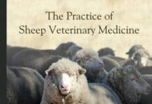 The Practice of Sheep Veterinary Medicine PDF