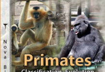 Primates Classification, Evolution and Behavior Book