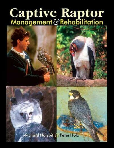 Captive Raptor: Management and Rehabilitation PDF