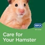 RSPCA Pet Guide: Care For Your Hamster PDF