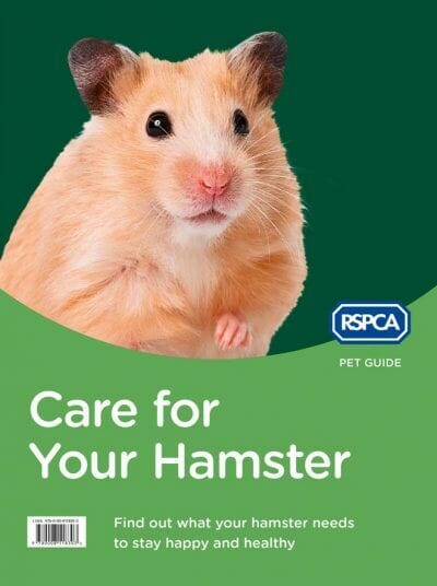 RSPCA Pet Guide: Care For Your Hamster