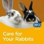 Care-for-Your-Rabbits