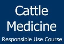 Cattle Medicine Responsible Use Course PDF By Joyce Van Donkersgoed, Rick Corbett