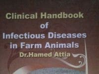 Clinical Handbook of Infectious Diseases in Farm Animals By Hamed Attia