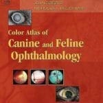 Color Atlas of Canine and Feline Ophthalmology PDF