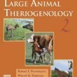 Current-Therapy-in-Large-Animal-Theriogenology-2nd-Edition
