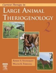 Current-Therapy-in-Large-Animal-Theriogenology-2nd-Edition