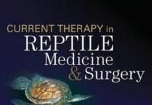 Current Therapy in Reptile Medicine and Surgery PDF