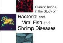 Current Trends in the Study of Bacterial and Viral Fish and Shrimp Diseases PDF