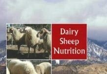 Dairy Sheep Nutrition PDF