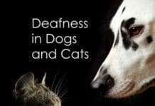 Deafness in Dogs and Cats PDF