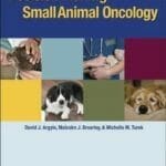Decision Making in Small Animal Oncology PDF