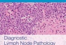 Download Diagnostic Lymph Node Pathology 3rd Edition PDF