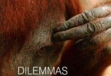 Dilemmas in Animal Welfare pdf