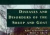 Diseases and Disorders of the Sheep and Goat