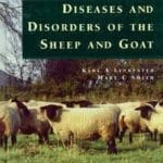Diseases and Disorders of the Sheep and Goat