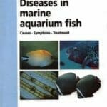 Diseases in Marine Aquarium Fish PDF