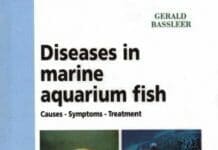 Diseases in Marine Aquarium Fish PDF