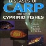 Diseases of Carp and Other Cyprinid Fishes PDF