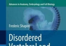 Disordered Vertebral and Rib Morphology in Pudgy Mice: Structural Relationships to Human Congenital Scoliosis