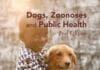 Dogs, Zoonoses and Public Health, 2nd Edition PDF