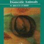 Structure and Function of Domestic Animals pdf