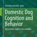 Domestic dog Cognition and behavior pdf