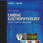 Cardiac Electrophysiology, From Cell to Bedside, 6th Edition By Douglas P. Zipes and José Jalife