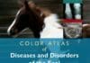 Color Atlas of Diseases and Disorders of the Foal PDF