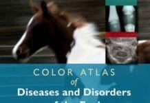 Color Atlas of Diseases and Disorders of the Foal PDF