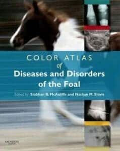 Color Atlas Of Diseases And Disorders Of The Foal Pdf