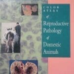 Color Atlas of Reproductive Pathology of Domestic Animals PDF