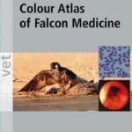 Colour Atlas of Falcon Medicine PDF By Ulrich Wernery, Renate Wernery, Joerg Kinne and Jaime Samour