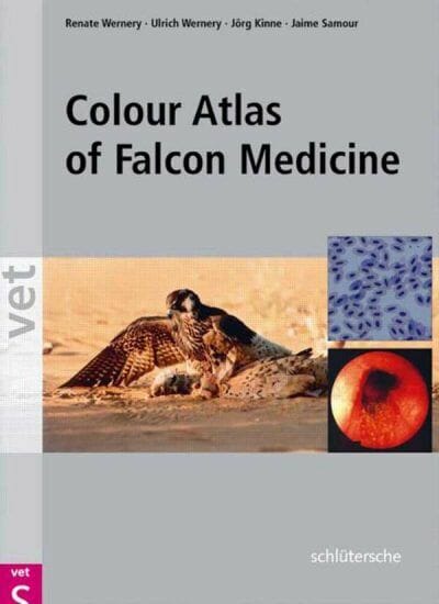 Colour Atlas of Falcon Medicine PDF