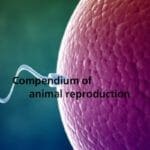 Compendium of Animal Reproduction 10th Revised Edition PDF