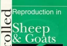 Controlled Reproduction in Sheep and Goats pdf