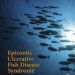 Epizootic Ulcerative Fish Disease Syndrome PDF