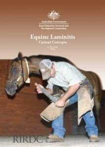 Equine-Laminitis-Current-Concepts